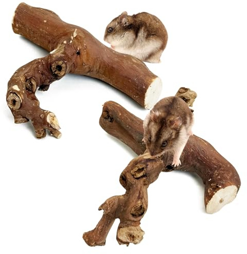 PINVNBY 2 PCS Wooden Hamster Climbing Branches 5.9 in Natural Grapevine Syrian Hamster Chewing Toys Small Animal Habitat Decor Accessories for Gerbils Mice Rat and Dwarf Pets