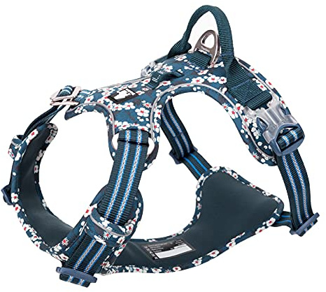 WINHYEPET Truelove No-Pull-Hundegeschirr, Baumwollgewebe atmungsaktiv und reflektierend weich, verstellbar zum Laufen, Spazierengehen, geeignet für kleine mittelgroße Katzen Hunde TLH5655