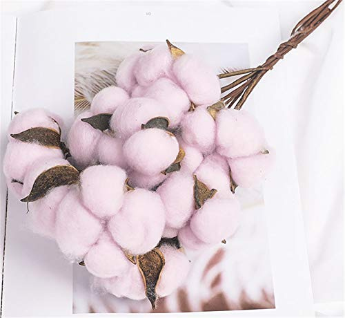 SWECOMZE 10 Köpfe Echter Baumwoll-Zweig Natürlich Getrocknete Blumen getrocknete Bauernhaus Stil für Dekoration Wohnaccessoires & Deko (Helles Lila)