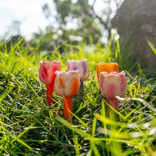 Bi drickkoppar för trädgård, 5 st bikoppar för törstiga pollinatorer, vattenstation för insekt på trädgård, balkong, blomvas dekoration (tulpan, 5 st)