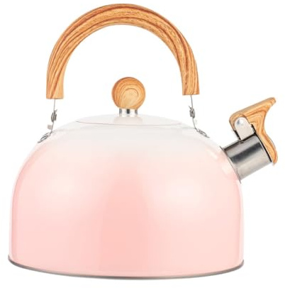 LABRIMP Tetera De Acero Inoxidable Con Silbato 3l Para Vitrocerámica y Camping, Mango Resistente Al Calor, Diseño De Fondo Plano, Hervidor Funcional Para Hogar y Exterior