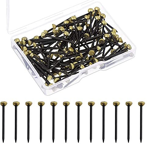 50pcs Wand Nägel für Beton Aufhängung Bilder Nägel Stahlbildernägel Gehärtet Kleiderbügel Wandstifte Haken Wandstifte Mit Kunststoff Aufbewahrungsbox für Bastelprojekte Diy-Dekoration