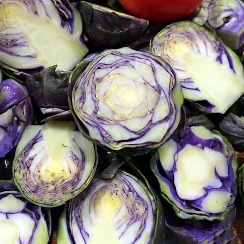 rosenkohl kaufen - bio indoor, bodendecker winterhart mehrjährig alte sorten 200samen