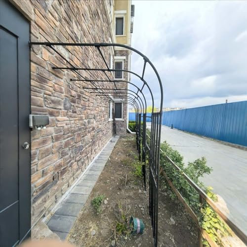 Pergola en métal pour plantes grimpantes - Arche murale pour roses et vignes - Parfaite pour balcon, terrasse et jardin - 120 x 240 x 40 cm