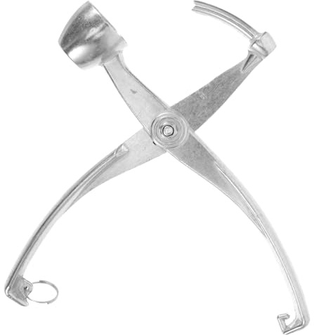 LABRIMP Descorazonador Compacto Metálico para Dátiles Rojos y, Alicates Extractores De Núcleos Ergonómicos, Herramienta Reutilizable para Uso Doméstico Cocina y Hogar