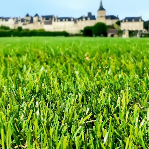 Gazon Synthétique 35mm : 2m de large x 15m de long RÉSISTANT & ULTRA DENSE ! UNE SOLUTION PRATIQUE ET ÉLÉGANTE !