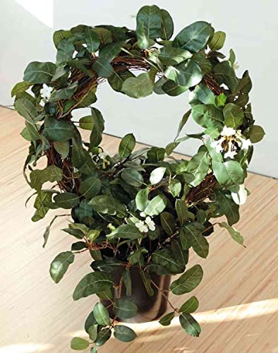 artplants.de Künstliche Kranzschlinge Serra, weiß, 65cm, Ø50cm - Kunst Kranzschlinge