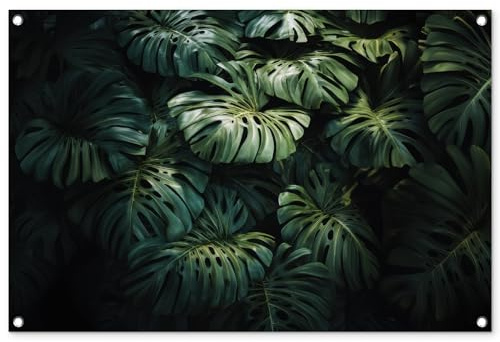 MuchoWow© Deco Jardin 90x60 cm Posters Décoratifs Extérieur Terrasse Mur Déco Appartement Affiche Exterieur Decoration Balcon Décoration Murale Plante - Monstera - Légère