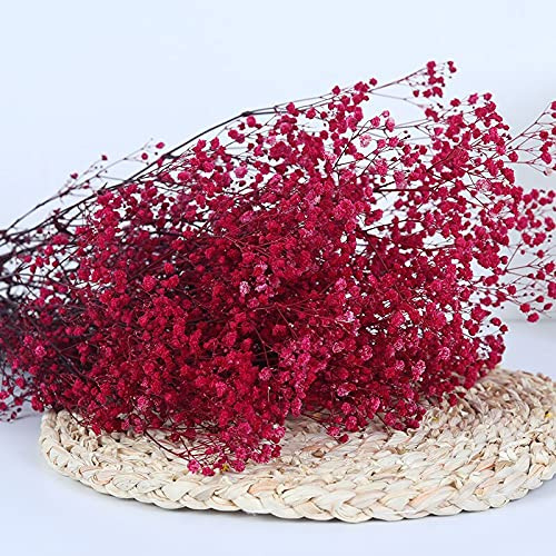 YIWOYI Gypsophile naturelle séchée - Fleurs séchées et conservées - Gypsophila Paniculata - Bouquets de fleurs pour fête de mariage, décoration de la maison (rose rouge, 40-55 cm80 g)