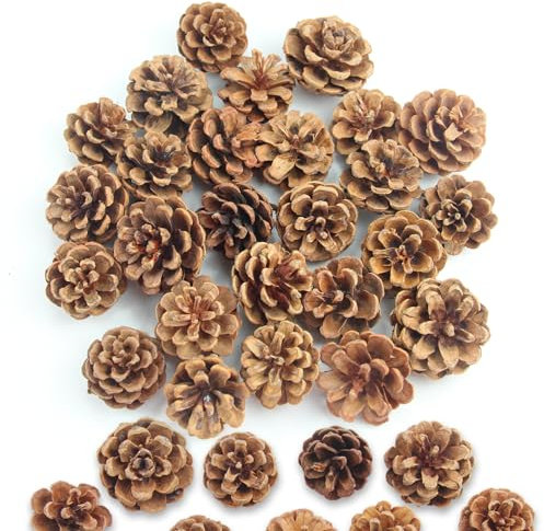 Natürliche Kiefernzapfen, 32 Stück Mini Weihnachten Tannenzapfen 3-4cm Dekoration Pinienzapfen Geeignet für DIY-Weihnachtsbäume, Kunsthandwerk aus Kunstharz und Heimdekoration