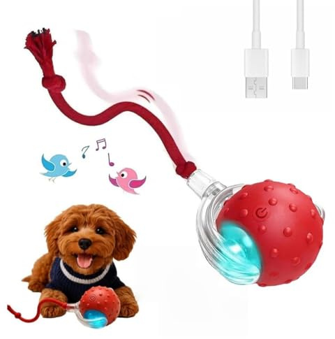 OALYGEI Teddyloo Palla Interattiva,Palla Giocattolo Interattiva per Gatti e Cani, Elettrica con Suono di Uccello, Tre Modalità e Ricarica USB (Uno rosso)