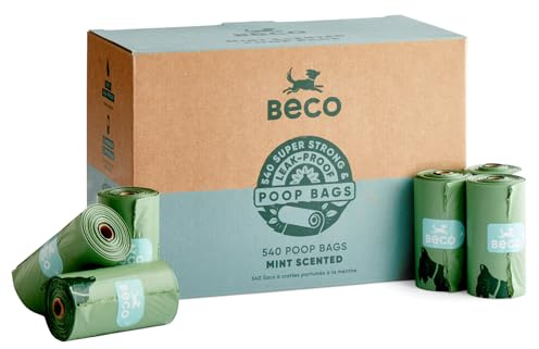 Beco Hundbajspåsar rullar – starka och stora – 540 påsar (36 rullar med 15) mintdoftande, dispenser kompatibel för hundavfall