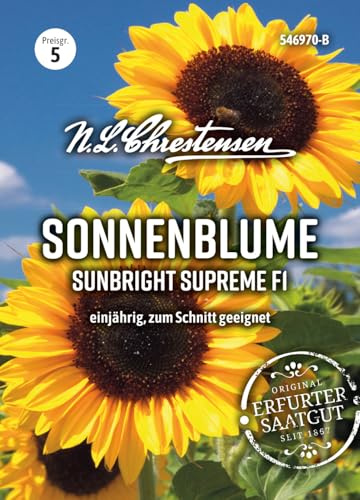 Chrestensen Saatgut Sonnenblume Sunbright Supreme F1 (Helianthus)