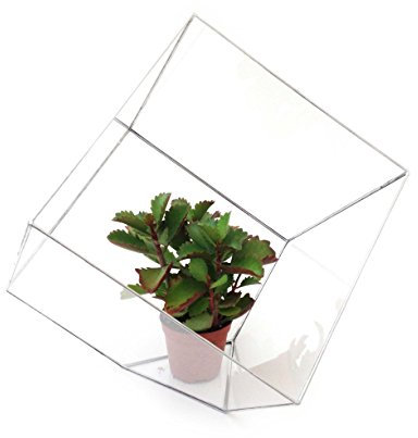 Lenka’s Terrrariums Terrarium cubique, pot de fleurs géométrique et moderne en verre, fait à la main en Angleterre L Silver