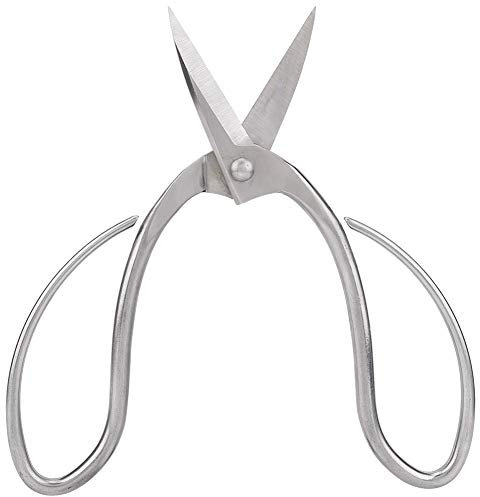 Forbici da potatura in acciaio inossidabile da 7,6 pollici, cesoie da giardino per la disposizione dei fiori da giardinaggio