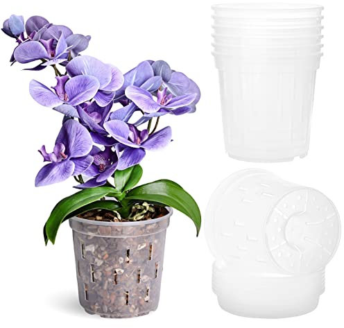 TRUEDAYS Maceta para orquídeas con platillos (paquete de 6 unidades), macetas transparentes para orquídeas con agujeros, maceta de plástico con bandejas, macetas para plantas de interior y exterior