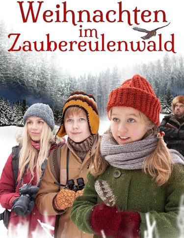 Weihnachten im Zaubereulenwald