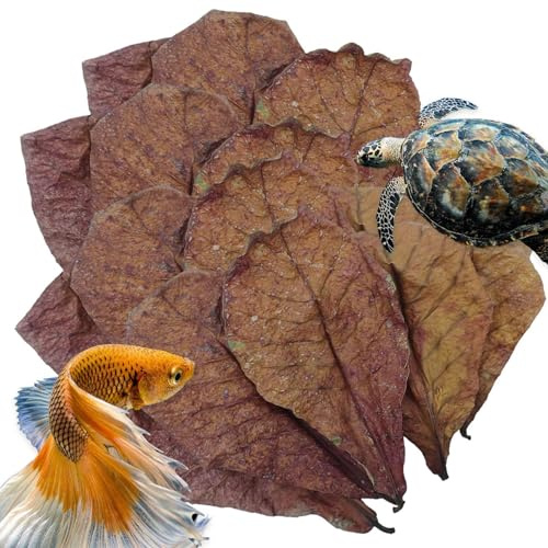 Mandelblätter für Betta-Fische, natürliche Terminalia-Catappa-Blätter, Wasseraufbereiter, Catappa-Blätter-Aquarium, Catappa-Mandelblätter, indische Mandelblätter, Mandelblatt für Aquarien
