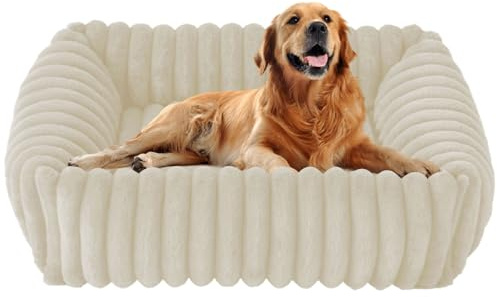 CIGAA Hundebett für kleine und mittelgroße, 63x53x18cm Waschbares Hundekorb rutschfest Hunde bettchen mit Hohem Rand, Weiß
