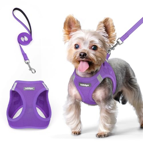 rabbitgoo Pettorina Cane Taglia Piccola con Guinzaglio Riflettente, Imbracatura per Cani Regolabile, Morbida Traspirante, Fcile da Indossare, Pettorina per Cani Piccoli Cuccioli Gatti, Viola XS