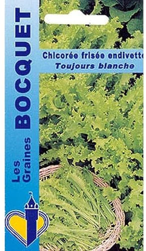Sachet de graines de Chicorée frisée endivette toujours blanche - 4 g - légume feuille - LES GRAINES BOCQUET