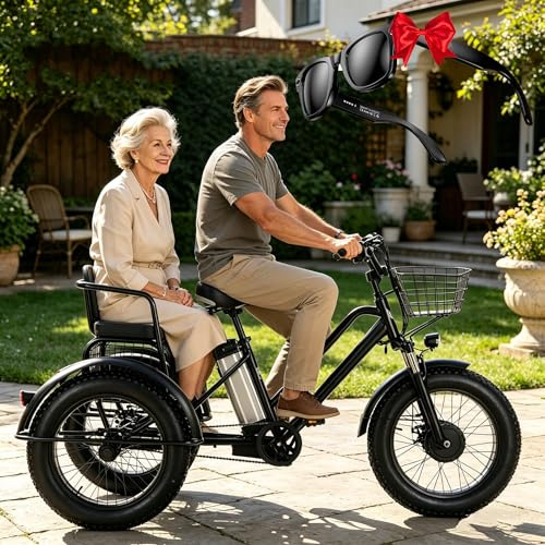 LISTaRSw Tricycle électrique pour Adultes - Charge 200Kg, Vélo Cargo électrique à Pneus Larges 20'', Batterie Amovible 48 V/12 Ah - Autonomie 35 Km, pour Les Trajets Domicile-Travail