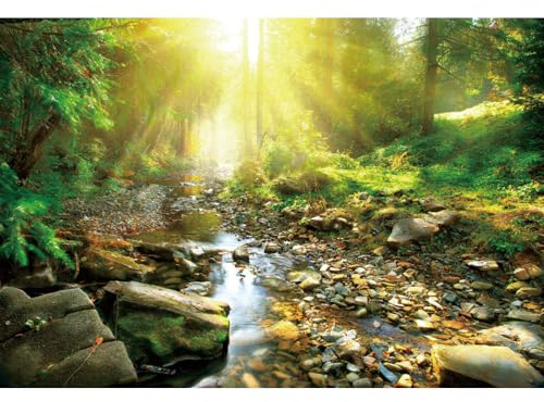 SDOTPMT 12x8ft Spring Forest Backdrop Towering Tree Sunlight Stream Stone Natural Scenery Style Theme Photography Background Outdoor Travel Adventure Hiking Camping Photo Shoot Decoration Supplies