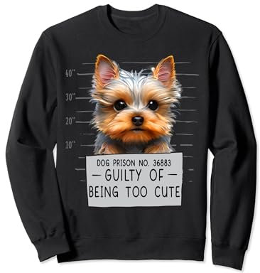 Yorkshire Terrier Teacup Lifespan Plush Owner Teacup Yorkie Sweatshirt
