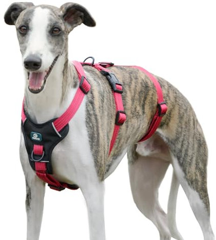 Paworld Sicherheitsgeschirr Hund, Panikgeschirr für Hunde, Ausbruchsicheres Geschirr Hund, Anti Zug Hundegeschirr, Atmungsaktiv, Verstellbare Weste für große Hunde, Gehen und Training (Rosarot, L)