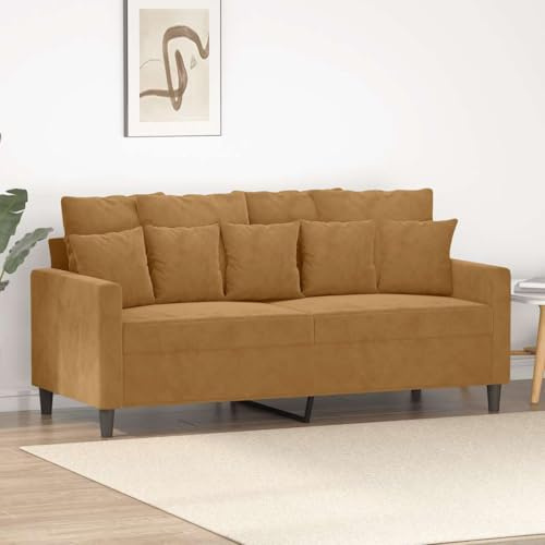 Fangmaliuyun 2-Sitzer-Sofa Braun 158x77x80 cm Samt & Metall kleines Wohnzimmer-Couch mit Dicker Polsterung Modernes Design Robust für Living Room Bedroom Jugendzimmer
