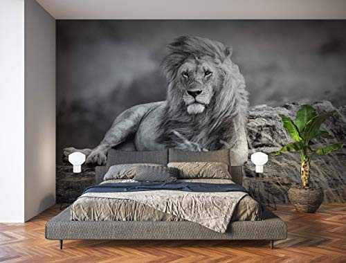 Oedim Fotomural Vinilo para Pared León Blanco y Negro | Fotomural Decorativo | 200 x 150 cm | Decoración comedores, Salones, Habitaciones