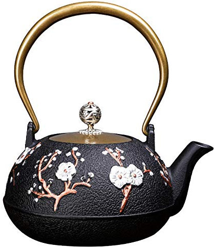 Japanese Cast iron teapot induction stove kettle with sieve tea pot oolong tea coffee maker office tea set 1 2 l-1.2L