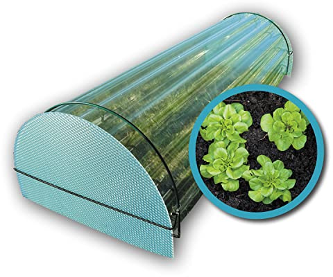 KAISER plastic® Frühbeet | L 220 x B 41 x H 27,5 cm | perfektes Aufzuchtbeet - Anzuchbeet | Made in Germany - Bio Kunststoff | Pflanzkasten - Gewächshaus