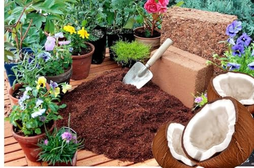 Torba di Cocco (Midollo 70% Fibra 30%), Sacco da 520 Litri, Naturale al 100%, per Agricoltura Biologica (520Lt 4 sacchi)