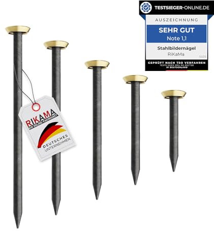 RIKAMA - 100 chiodi per quadri, da 20 x 20, 25, 30, 40, 50 mm, in acciaio, ideali per appendere quadri, prodotti in Germania