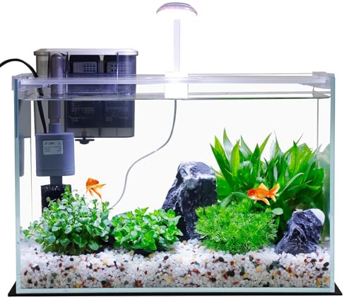 Vimvins 5 Gallon Glass Small Fish Tank with Filter Light and Lid, Betta Aquarium Starter Kits