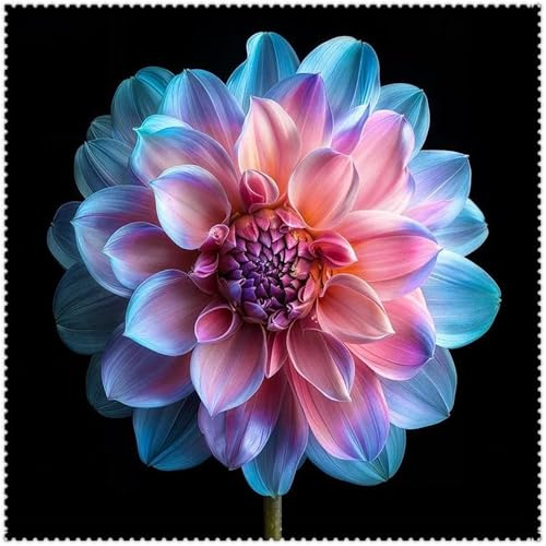 Rizomas de Dalia, Dalias Perennes, Dalia Fáciles de Cultivar, Todas Prosperan en el Jardín.-10 Rizomas-a