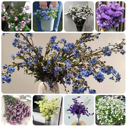 vergissmeinnicht geschenk deko, blumensamen balkon vergiss mein nicht balkonpflanzen winterhart, kräuterpflanzen winterharte wildblumen 50samen
