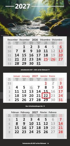 Bildkalender 3-Monatskalender 2027 Kombi Bürokalender (Wald) | Wandkalender mit Panorama Bild