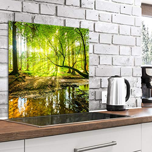 murando Glass Splashback for Kitchen Backsplash Cooker Protector