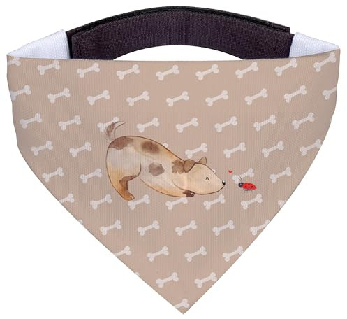 Mr. & Mrs. Panda Hundehalstuch M Hund Marienkäfer - Geschenk, Mittel, Halstuch, Hunde, Neugierig, Tuch, Mittelgroße, Mischlinghund, Mischlingshund, Sprüche
