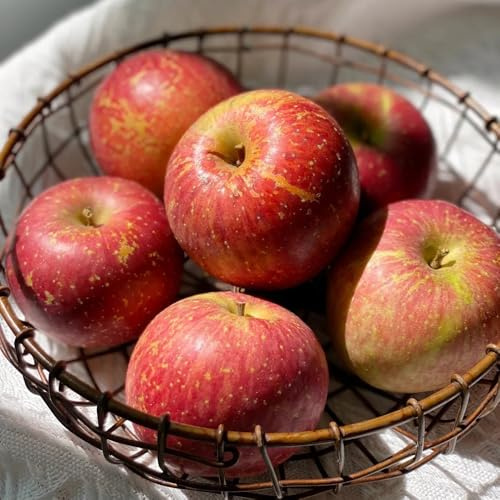 Semi di melo, Malus pumila, esotici rustiche per balconi fresca semi esotici regali sostenibili semi da giardino regali 150pcs