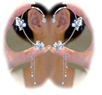 2PCS Butterfly Tassel Zircon Earrings - Butterfly Ear Cuffs, No Piercing, Fairy Ear Clip Jewelry Gifts (style s)