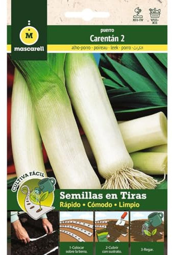 Mascarell Graines, port vert Carentan, cultive facile, créez votre propre potager à la maison, bande 5 m