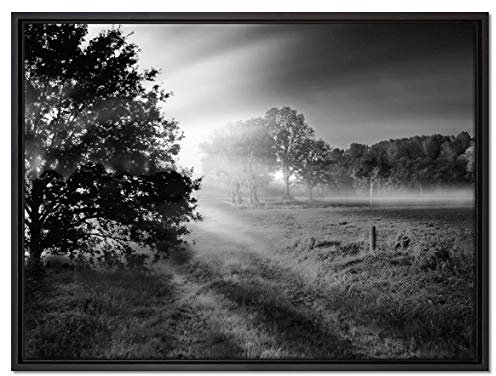 Pixxprint schöne Lichtung im Wald Leinwandbild 80x60 cm im Bilderahmen, Wandbild, Schattenfugenrahmen, Kein Poster