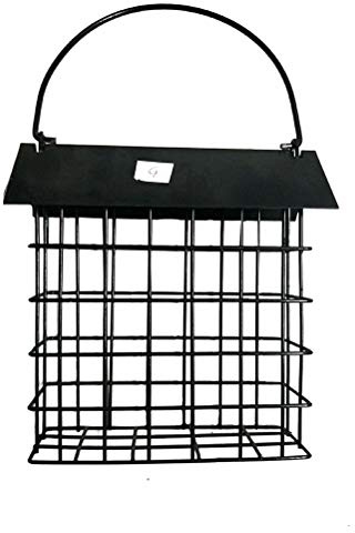 BSTCAR Vogelfutterstation aus Stahldraht, Wildvögel, Talgkuchen mit Griff, Meisenknödel, Meisenknödel, Futterstation Vögel, 12 x 13 x 4,7 cm
