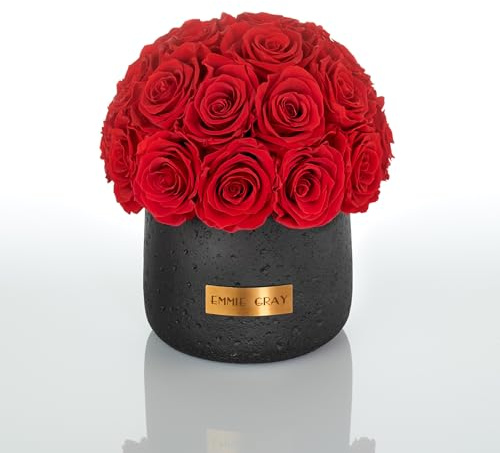 EG EMMIE GRAY Black Solid Infinity Collection – Drömlika Infinity rosor, 1–3 års hållbara rosor, betongvas med äkta, konserverade rosor, ädla premiumrosor – storlek M (klarröd)