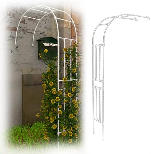 Demi Arche De Jardin pour Plantes Grimpantes, H240cm Arceau Métallique pour Rosiers, Tonnelle Décorative Extérieure, Résistante À La Rouille(White,W300*H240cm)