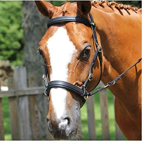 Bridón Protanner Bitless para caballo (COB, negro)