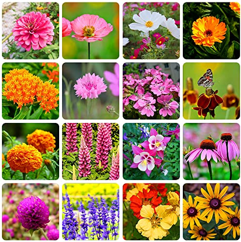 10000+ Perennial Mix Wildflower Seeds 16 Assorted of Heirloom Flower -1oz Zinnia Poppy Crimson Clover Milkweed Lupine Marigold Mexican Hat Sage Nasturtium